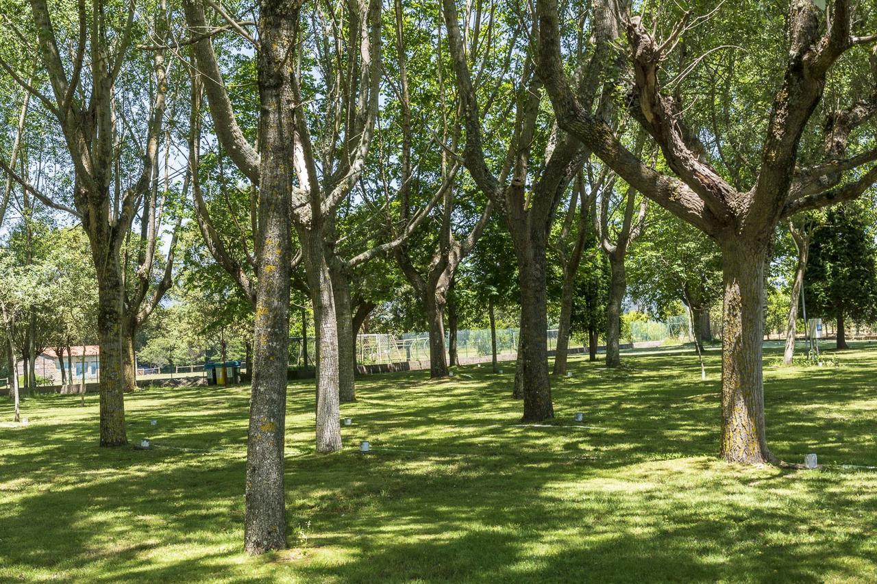 Camping Santa Tecla A Guarda Eksteriør bilde